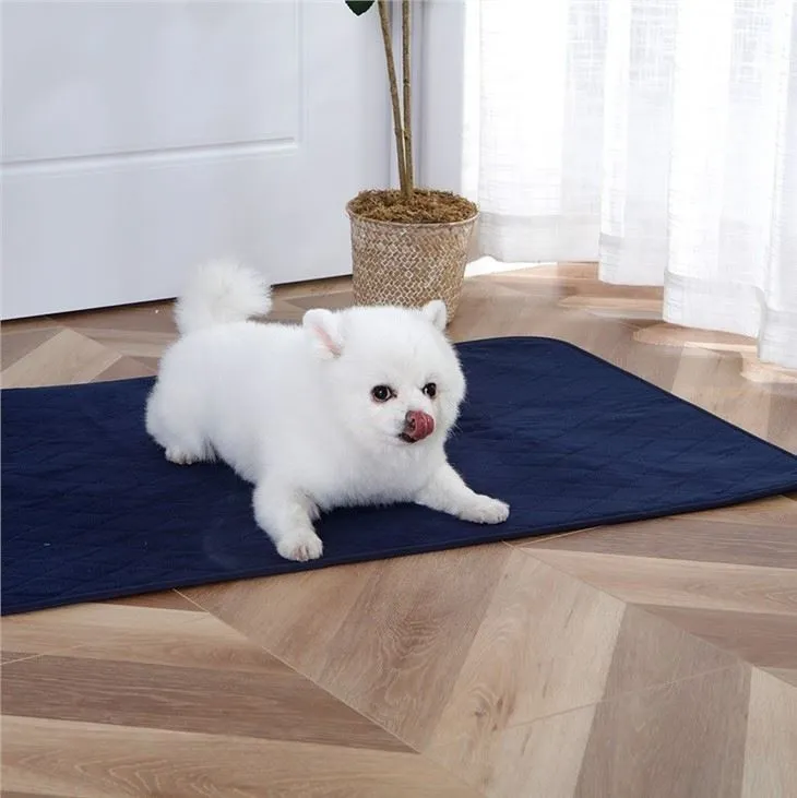 pet-dog-urine-pad09350399615