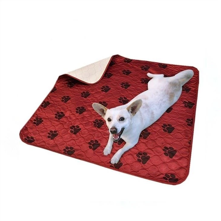 pet-toilet-pee-urine-pads53151223940
